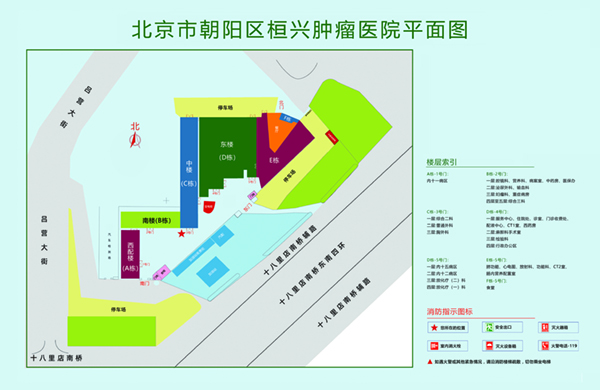 JJ插入bb的小黄文北京市朝阳区桓兴肿瘤医院平面图